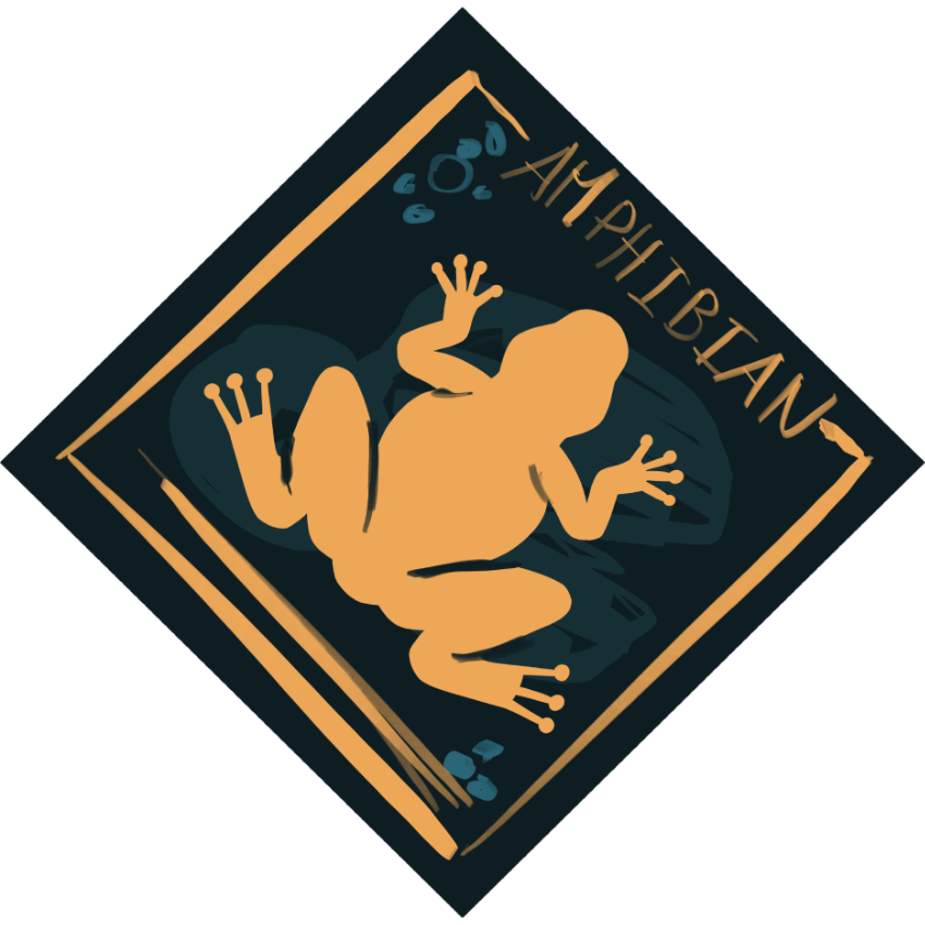 Amphibian